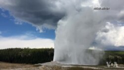 A Hot Time in World's First National Park