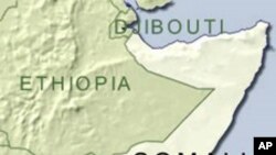 Somali Lawmakers Abroad Told to Return Home