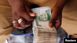 Un homme compte des billets de naira nigérians sur un marché à Yola, au Nigeria, le 22 février 2023. (REUTERS/Esa Alexander)