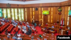 Majalisar Dattawan Najeriya (Facebook/Majalisar Dattawa)