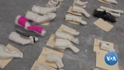 Custom-Made Braces Help Animals Walk Again