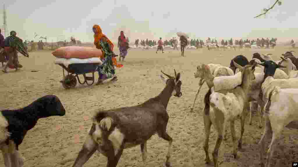 የአውሮፓ ኮሚሽን በኤል ኒኞ ምክኒያት ለተከሰተው ድርቅ ምላሽ &euro;122.5 ሚልዮን እንደሚሰጥ ይፋ አደረገ