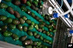 Science v Food Waste