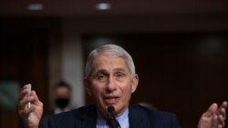 Entoni Fauči, direktor Nacionalnog instituta za alergije i infektivne bolesti na pretresu u Senatu 23. septembra 2020.