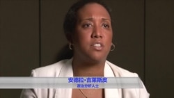 选民身份法之争缠绕本届总统选举