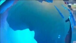 اخبار شبانگاهی