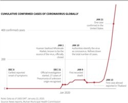 At least 17 people have died from a new coronavirus in China following an outbreak in the central city of Wuhan, and some 577 cases have been reported globally, most of them in China where the infection has spread faster in recent days.