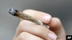 تا کنون تنها ایتالیا و جمهوری چک در اروپا به مصرف دوایی مروانا اجازه می‌دهند