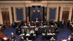 Kongressga saylovlar - US Politics, Elections 2014