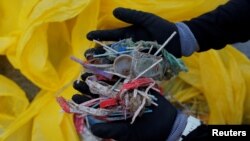 រូបឯកសារ៖ សំណល់ផ្លាស្ទិក ដែលត្រូវបានគេរកឃើញនៅឆ្នេរសមុទ្រ La Costilla ប្រទេស​អេស្ប៉ាញ។ 