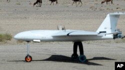 عکس تزئینی است