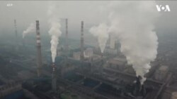 COP29 sammitinin son günlərində iqlim maliyyəsi üzrə yavaş irəliləyiş qəzəb yaradır