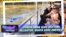 Vlogger on The Road: Pengalaman Seru Bertemu Alligator, Buaya Khas Amerika!