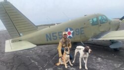 Quiz - Pandemic Closes Restaurants, Owner Flies to Save Dogs