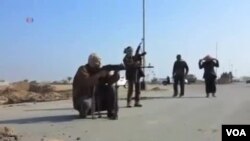 گروه وابسته به القاعده - آرشیو