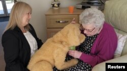 The Tombot is similar to other robot dogs meant for patients with dementia. Care home manager Deanna Barnes introduces Katrina Brooke, aged 73, to Biscuit the robotic dog at Templeman House Residential and Dementia Care Home in Bournemouth, Britain, April 5, 2018.