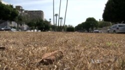 Scientists Predict Wet Winter in Drought-Stricken US West