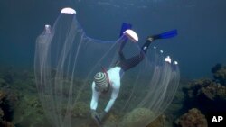 Made Partiana uses a net to catch aquarium fish on north coast of Bali, Indonesia, April 10, 2021.