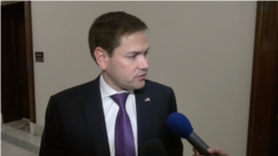 资料照片：鲁比奥参议员接受美国之音采访。(2019年11月14日)