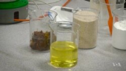 Fake Fecal Matter Could Help Improve Sanitation