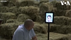 Des enfants malades visitent un zoo depuis leur lit d'hôpital