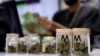 Teglice sa marihuanom (Foto: AP/John Locher)