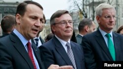 Ukraine's FM Leonid Kozhara (C), Poland's FM Radoslaw Sikorski (L) and Sweden's FM Carl Bildt following a meeting with Ukraine's President Viktor Yanukovych in Kyiv, October 22, 2013. 