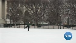Sculptures Add to the Attraction of Outdoor Ice Rink