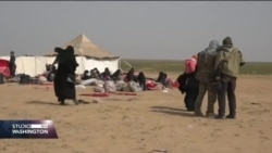 Kamp u Siriji u kojem su porodice boraca tzv. Islamske države na "ivici pucanja"