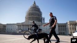 지난 11월 프랑스 파리 테러가 발생한 다음날 미국 워싱턴 의회 건물 앞에서 경찰이 경계 근무를 서고 있다. (자료사진)