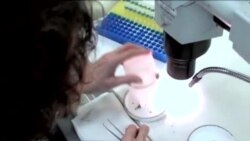 G'arbiy Nil virusiga qarshi kurash/ West Nile Virus, Texas Lab