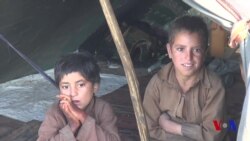 Xalqaro hayot - 14-sentabr, 2018-yil - Qurg'oqchilik Afg'onistonni qaqshatmoqda