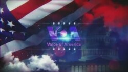 Студія Вашингтон