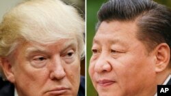 ARSIP – Kombinasi foto-foto arsip ini menunjukkan Presiden AS, Donald Trump tanggal 28 Maret 2017 di Washington, kiri, dan Presiden China, Xi Jinping, tanggal 22 Februari 2017 di Beijing (foto: AP Photo/Arsip)