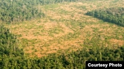 រូប​ឯកសារ៖ ទិដ្ឋភាពព្រៃឡង់​​ពី​លើ​អាកាស​នៅ​ឆ្នាំ​២០១៦។ ព្រៃឡង់​​​ក៏​ជា​គម្រោង​មួយ​ដែល​មាន​ទី​តាំង​ខ្លះ​នៅ​ក្នុង​ខេត្ត​កំពង់ធំ​ដែរ និង​​ជួប​បញ្ហា​ក្នុង​ពេល​កន្លង​មក​ដែរ។ (រូបថតដោយ៖ USAID/Michael Gebremedhin)