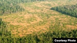 រូបឯកសារ៖ ទិដ្ឋភាពព្រៃឡង់ពិ​លើ​អាកាស នៅ​ឆ្នាំ ២០១៦។ (រូបថតដោយ៖ USAID/Michael Gebremedhin)