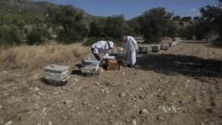 Turkey’s Receding EU Hopes Seen as Setback to Cyprus Reunification