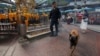 A Thai police officer and his dog inspect around the Erawan shrine during the first anniversary of the shrine's bombing in central Bangkok, Thailand, Aug. 17, 2016. Security has been stepped up at tourist sites.