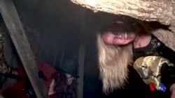 Xellouin: Arvohlar o'rmoniga sayr