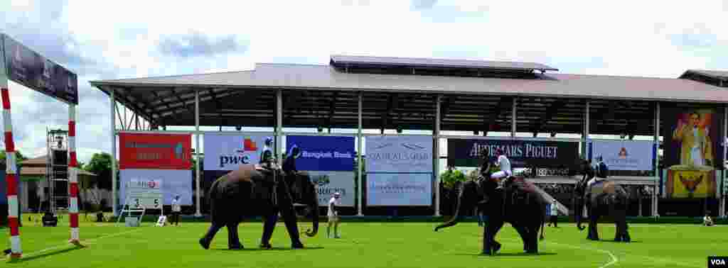 Two elephants head for the ball in a game played at a much slower pace than horse polo, 2014 King's Cup Elephant Polo Tournament in Samut Prakan province, on the outskirts of Bangkok, Aug. 28, 2014. (Steve Herman/VOA).
