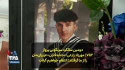 دومین سالگرد سرنگونی پرواز ۷۵۲ | مهرزاد زارعی: عزیزان‌مان را از ما گرفتند؛ انتقام خواهیم گرفت