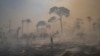 Worries Grow as Brazil's Forest Fire Season Starts