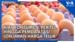 Kiat Konsumen, Peritel, hingga Pemda Atasi Lonjakan Harga Telur