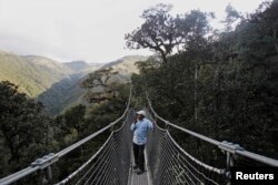 FILE - A looks out at the cloud forest standing atop a canopy at the buffer zone of Manu National Park in front of Huayquecha Biological Station near Paucartambo, Cusco, Peru, Dec. 5, 2014.