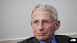Direktur Lembaga Nasional Penyakit Menular dan Alergi Amerika Serikat, Dr. Anthony Fauci, saat pengarahan tentang virus corona Covid-19 di Gedung Putih, 6 April 2020. (Foto: AFP)