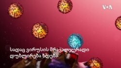 რას ნიშნავს ვირუსის მუტაცია