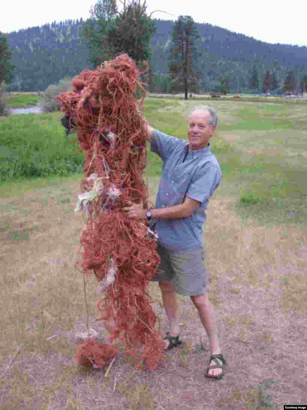 University of Montana Professor Erick Greene says one osprey nest he dissected contained nearly one half mile of discarded baling twine. (Courtesy of Erick Greene, Univ. of Montana)