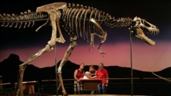 Quiz - Study Provides New Details about Teenage T. Rex