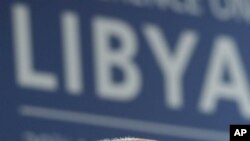 British Foreign Secretary William Hague (file photo)