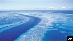 Taman Laut Great Barrier Reef di Australia. (Foto: Dok)